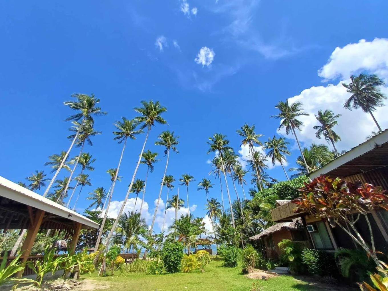 Amihan Beach Hostel San Vicente  Zewnętrze zdjęcie