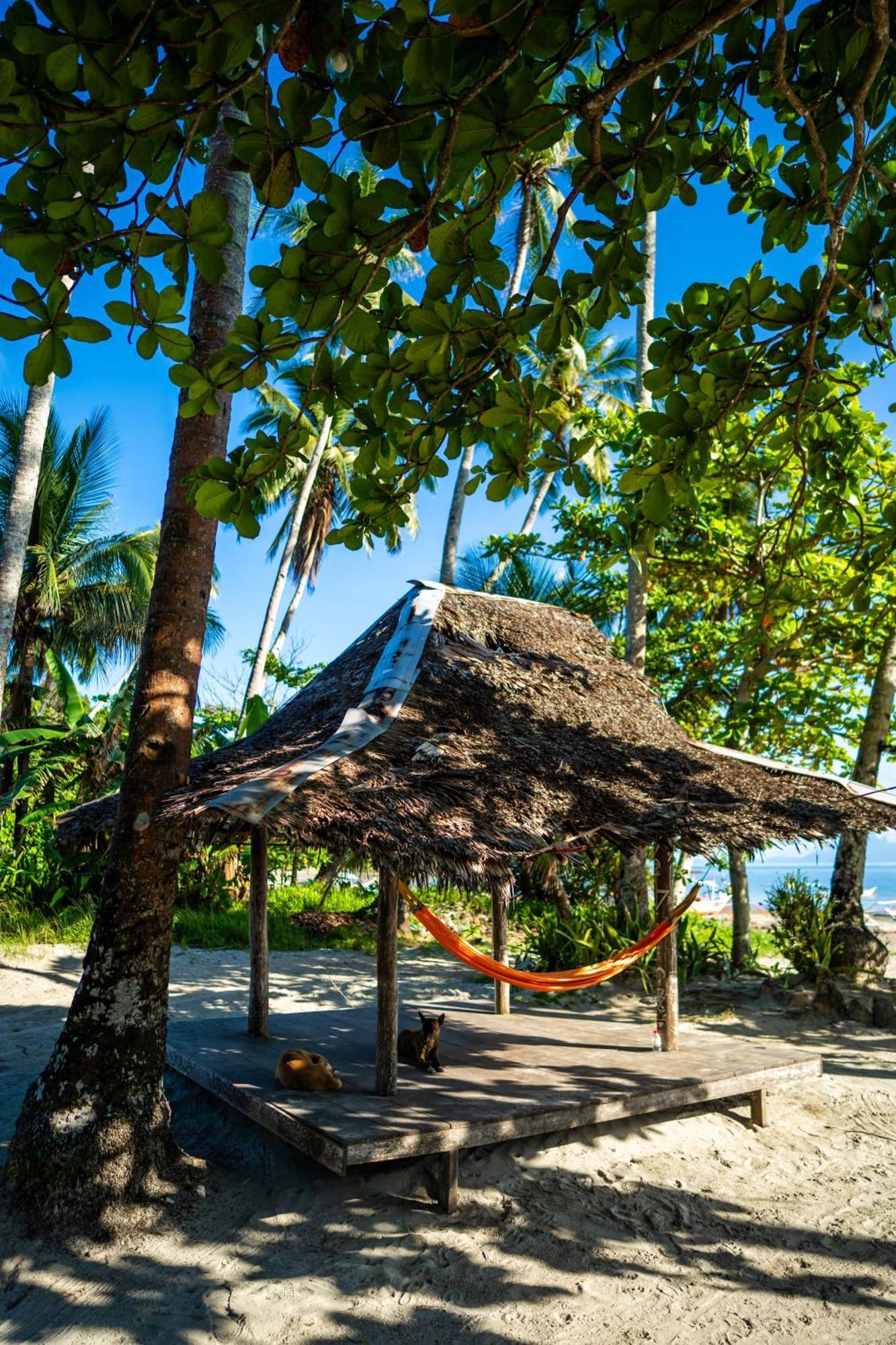 Amihan Beach Hostel San Vicente  Zewnętrze zdjęcie